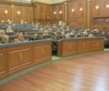 Nga punimet e seancës plenare të Kuvendit të Kosovës 